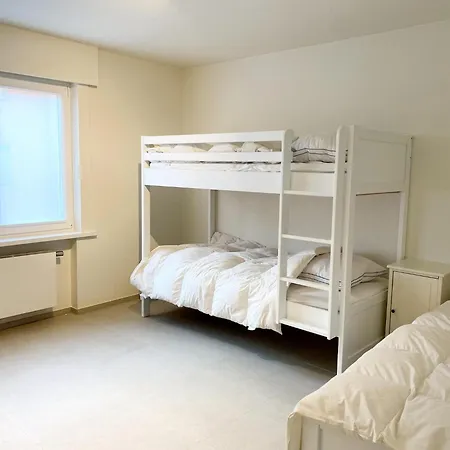 In With Terrace, Cleaning Included Apartment Nieuwpoort